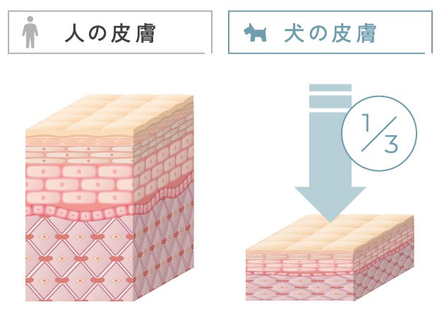 トレゾールブラン