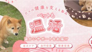 エフズウィッシュ