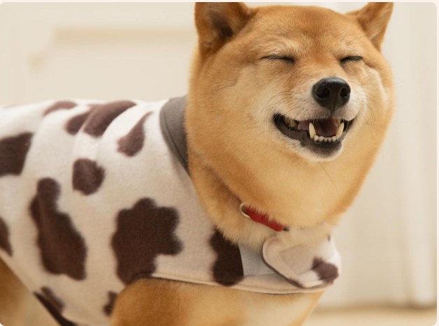 エフズウィッシュ