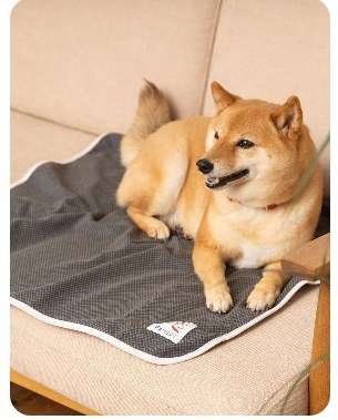エフズウィッシュ