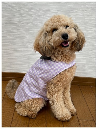 エフズウィッシュ