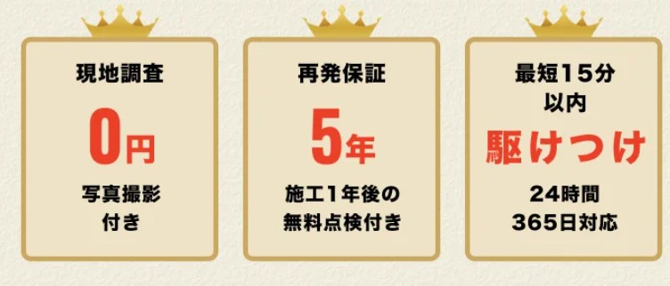 街角害獣駆除相談所