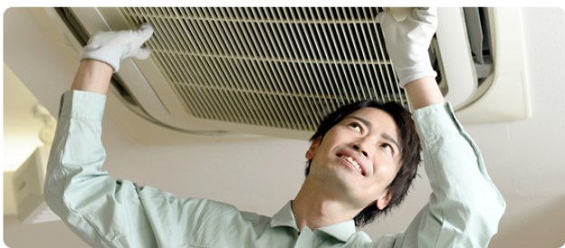 街角害獣駆除相談所