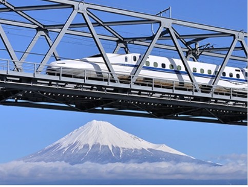 大型・中型免許