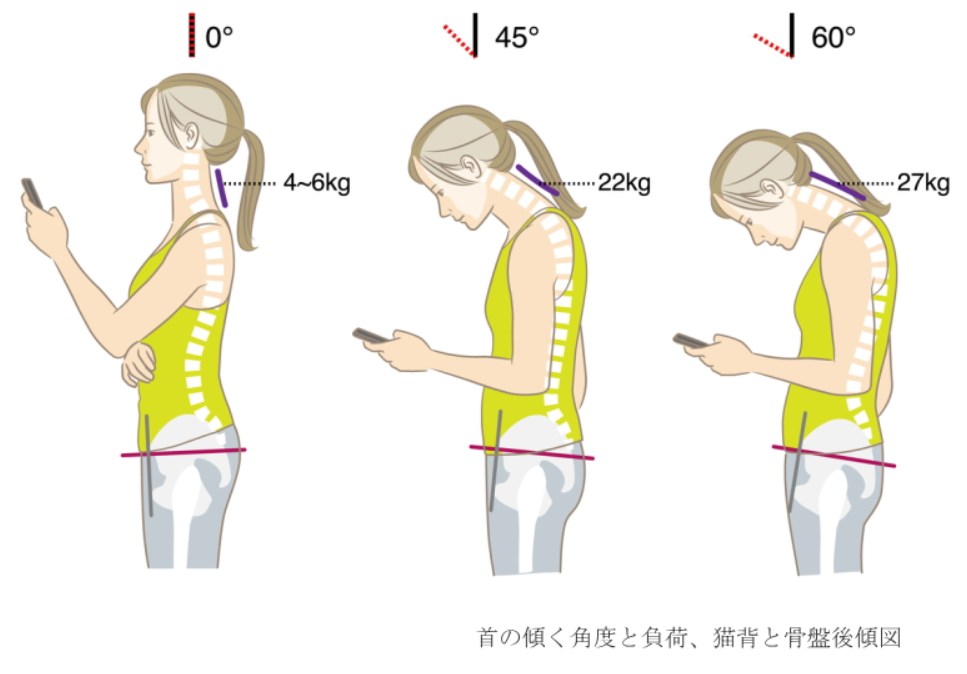 セナレッチフランチャイズ募集
