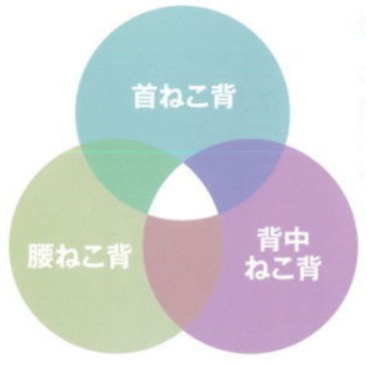 セナレッチフランチャイズ募集