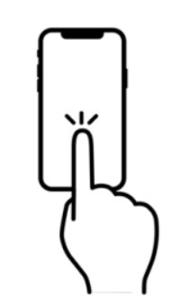 セナレッチフランチャイズ