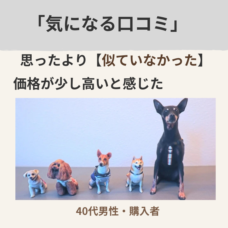 オーダーメイドフィギュアの気になる口コミとして、思ったより似ていなかったという感想と完成例を紹介した画像