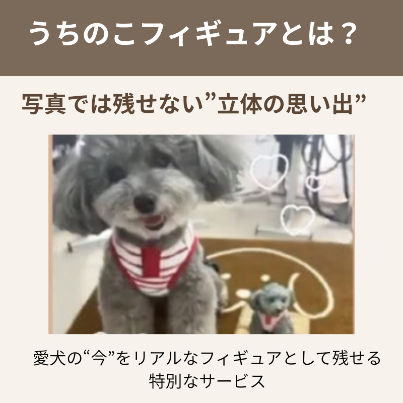 うちのこフィギュアの特徴を紹介する説明画像