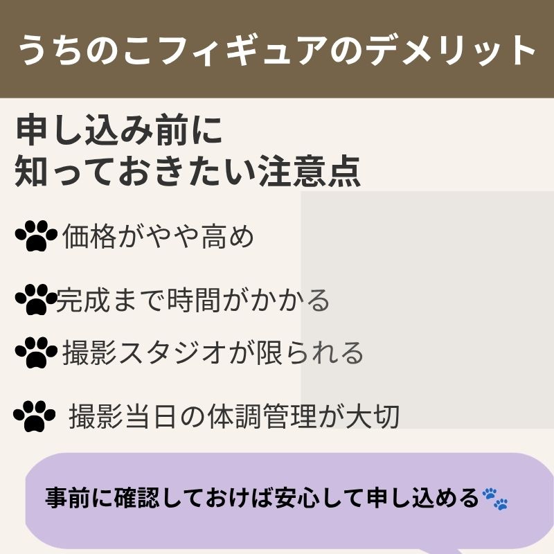 うちのこフィギュアのデメリットや注意点をまとめた画像