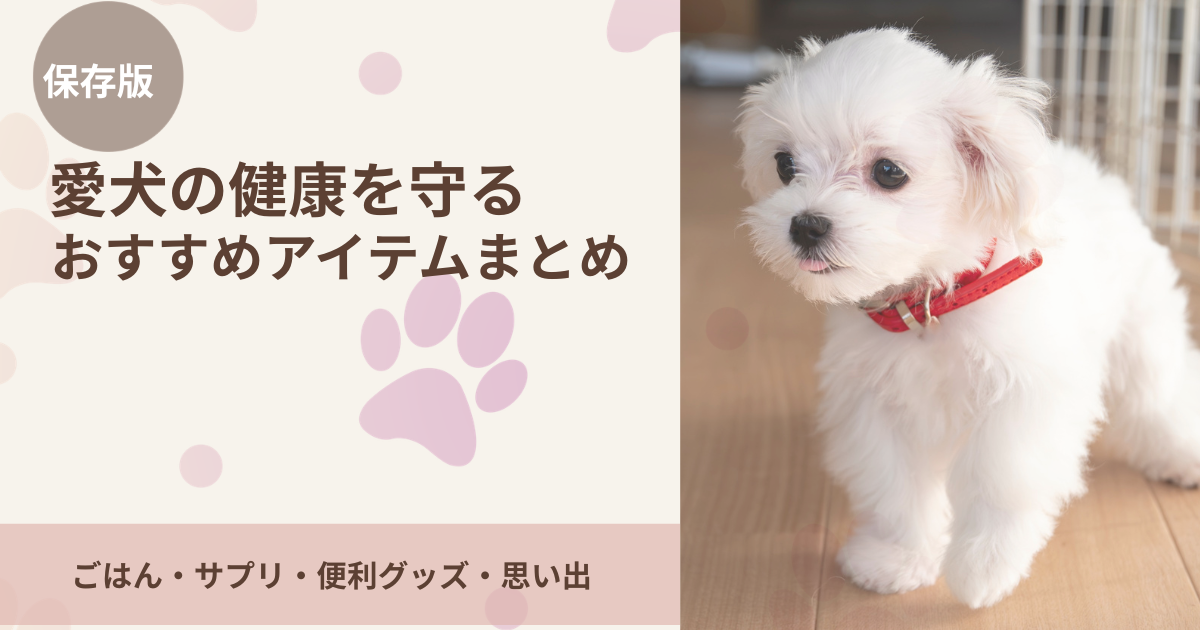 愛犬の健康を守るおすすめアイテムまとめを紹介するアイキャッチ画像。白い小型犬の写真と、やさしいベージュとピンクの肉球デザインで、ごはん・サプリ・便利グッズ・思い出作りについてまとめた記事。