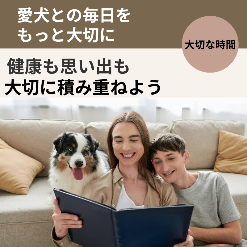 愛犬との毎日を大切にしながら健康と思い出を育む家族の様子