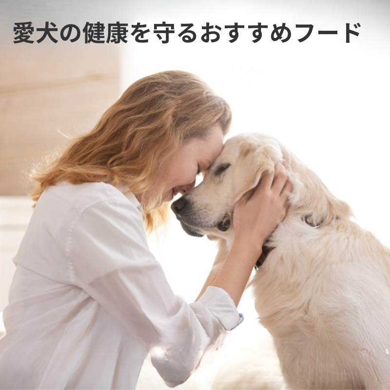 愛犬の健康を守るフードを紹介する見出し画像。飼い主と大型犬が寄り添うやさしい写真で、健康的な食事の大切さをイメージしたデザイン。