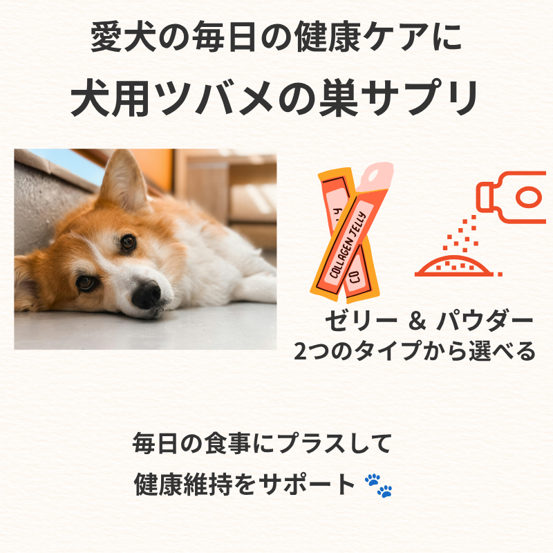 犬用ツバメの巣サプリのゼリータイプとパウダータイプを紹介する画像
