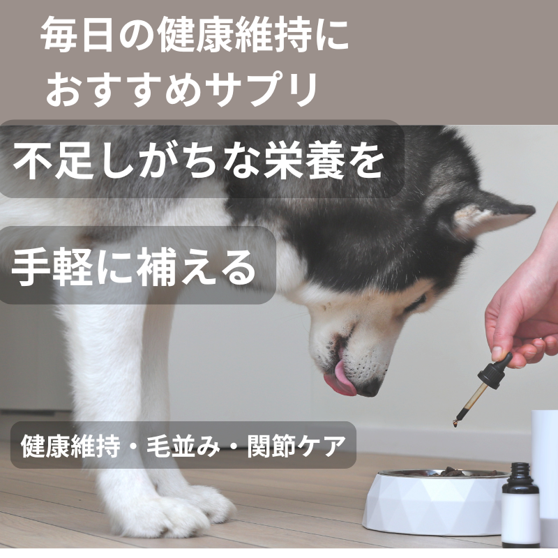 愛犬の健康維持のためにサプリを食事に取り入れている様子