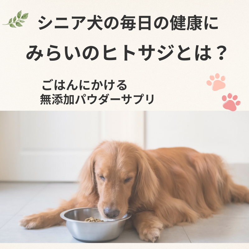 シニア犬の健康をサポートするみらいのヒトサジを紹介する画像