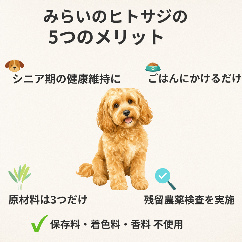 みらいのヒトサジの5つのメリットを紹介する画像