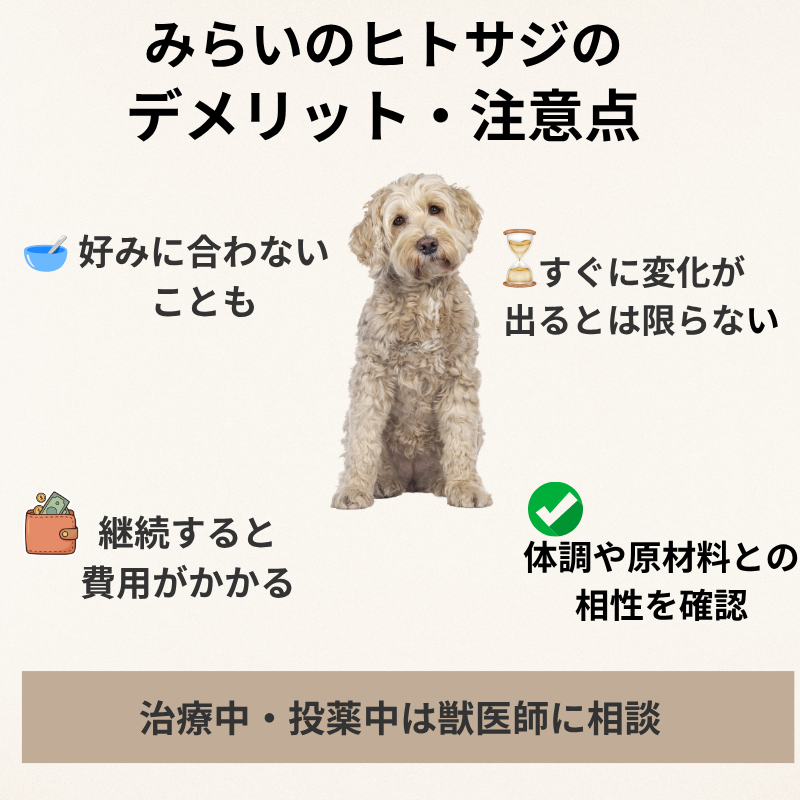 みらいのヒトサジのデメリット・注意点を紹介する画像