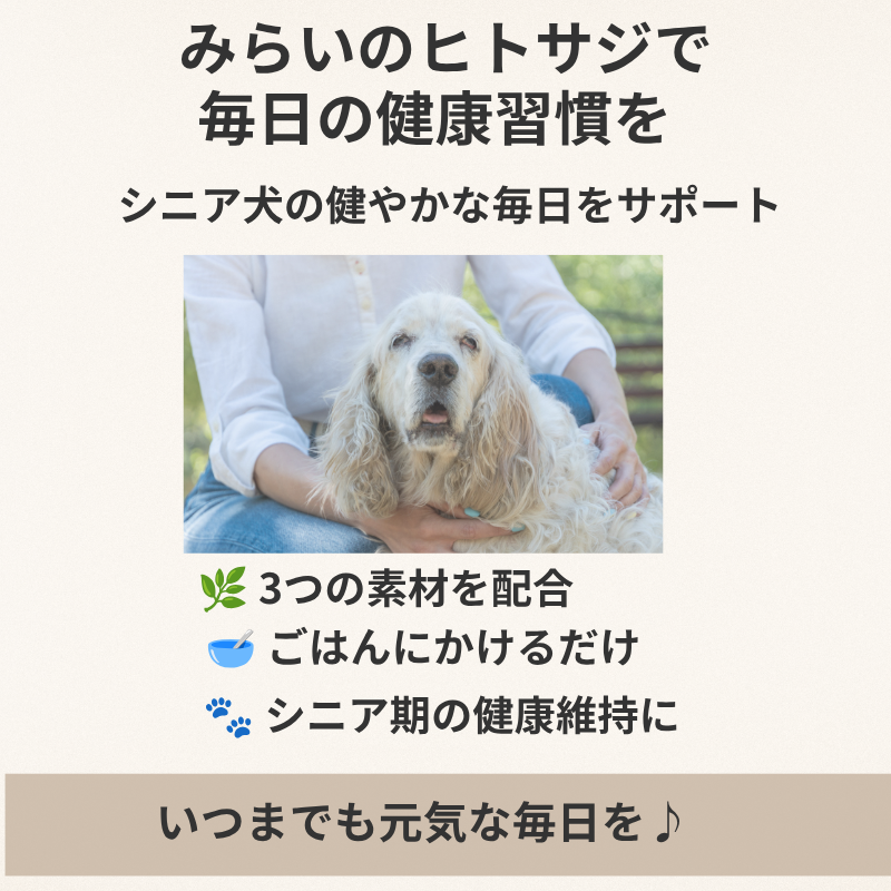 みらいのヒトサジでシニア犬の毎日の健康習慣をサポートするまとめ画像