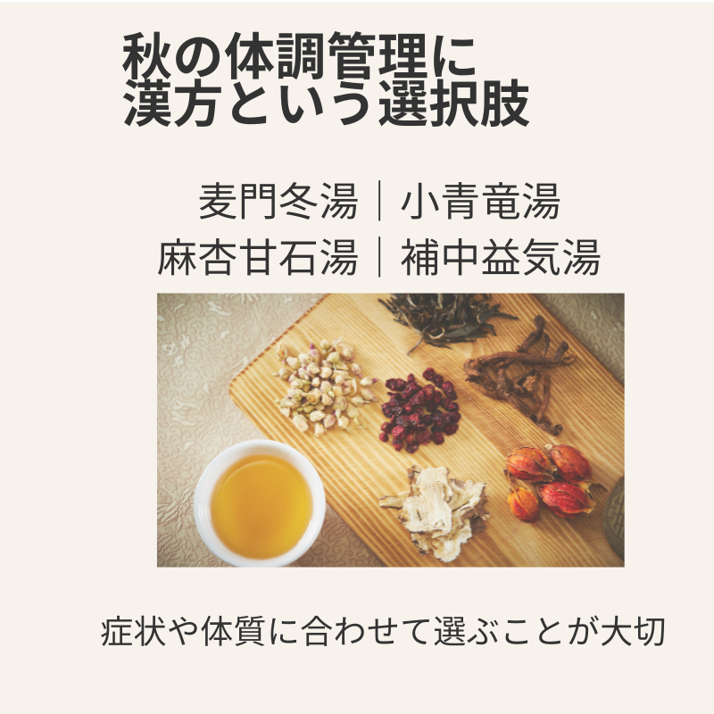 秋の体調管理に用いられることのある麦門冬湯・小青竜湯・麻杏甘石湯・補中益気湯を紹介する漢方のイメージ