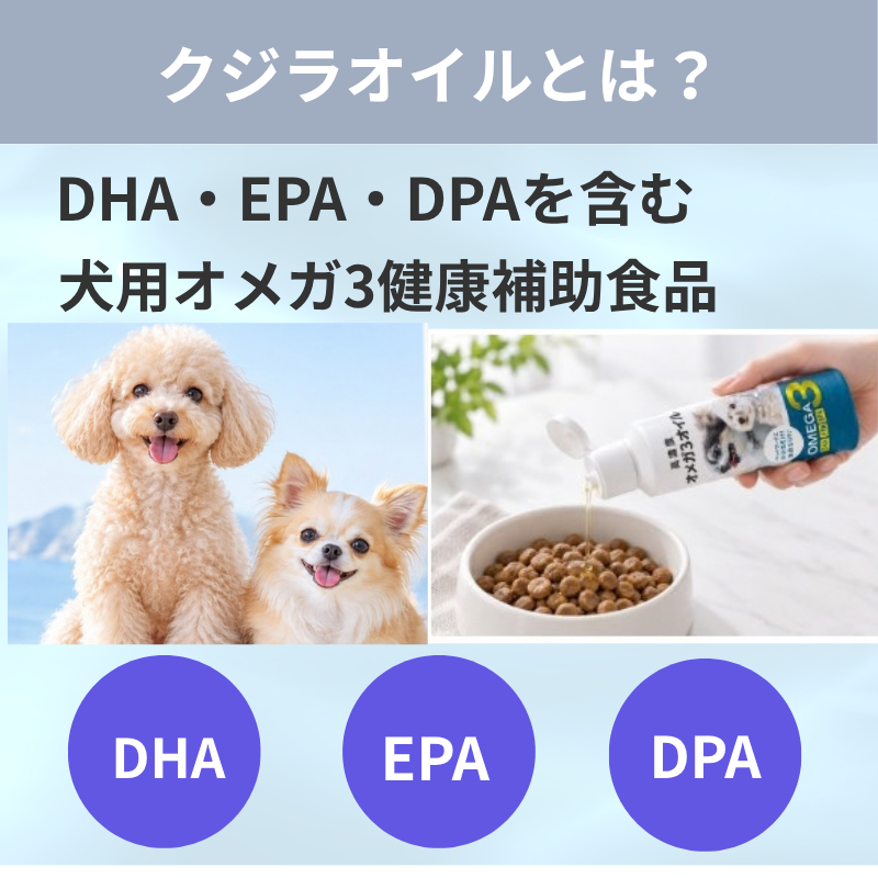 DHA・EPA・DPAを含む犬用健康補助食品クジラオイルの紹介画像