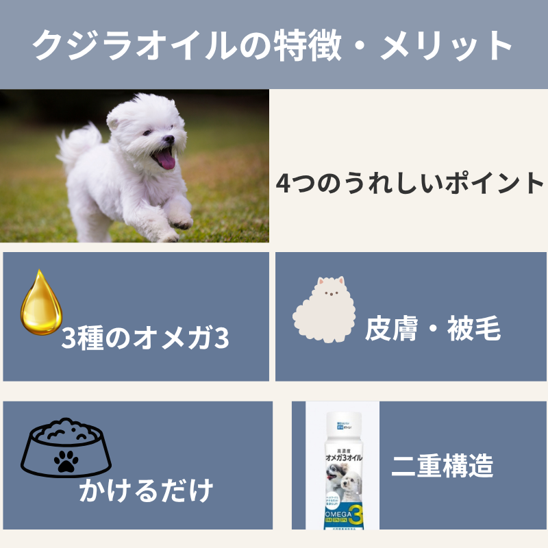クジラオイルの4つの特徴とメリットを紹介する画像