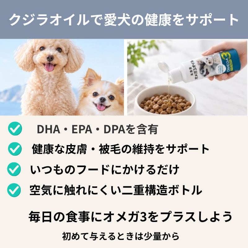 DHA・EPA・DPAを含むクジラオイルの特徴と、愛犬の食事への取り入れやすさをまとめた画像