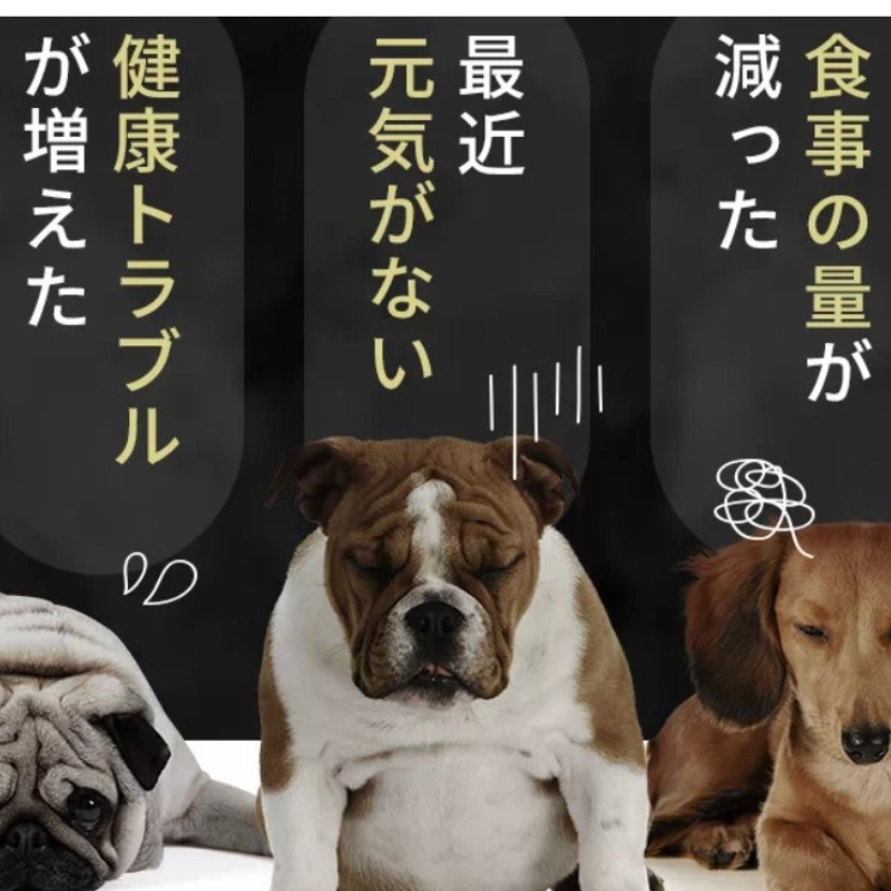 シニア犬のお困りごと