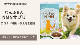 わんふぁんNMNサプリの商品と犬の写真。口コミ・特徴・与え方を紹介