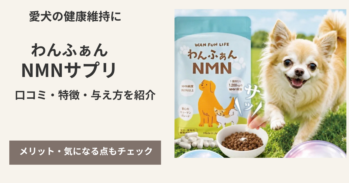 わんふぁんNMNサプリの商品と犬の写真。口コミ・特徴・与え方を紹介