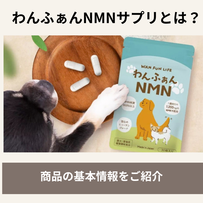 商品の基本情報をご紹介する画像