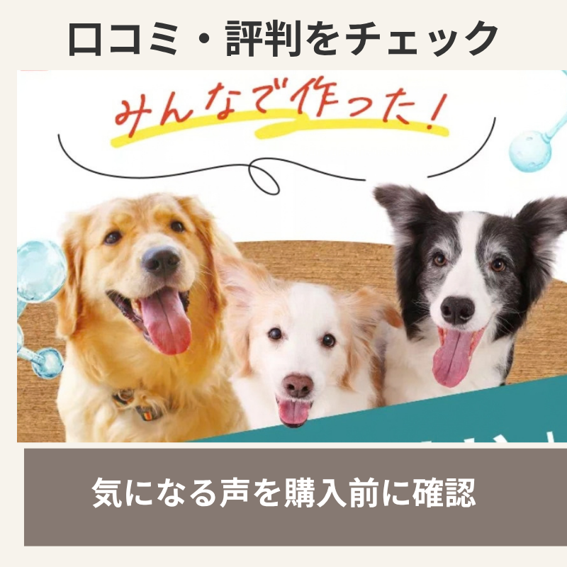 わんふぁんNMNサプリの口コミ・評判を紹介する画像