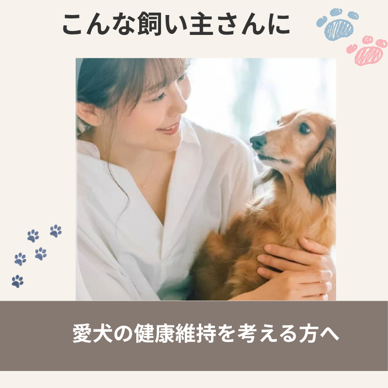 おすすめの飼い主さんを紹介する画像