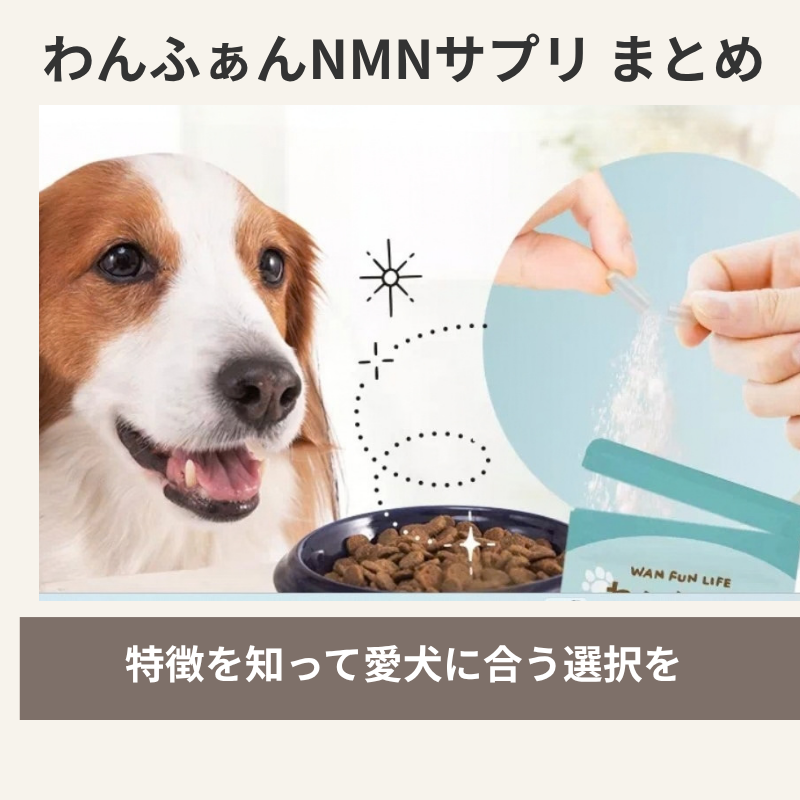 まとめ画像